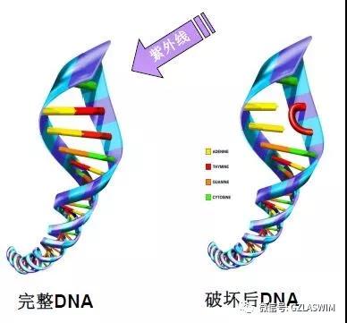 疫情當下，泳池場館的運營者們還能輕視消毒嗎？